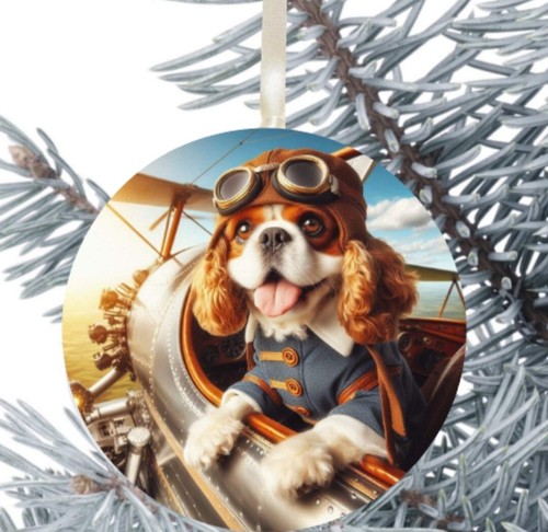 Cavalier king charles - cavalier, spaniel