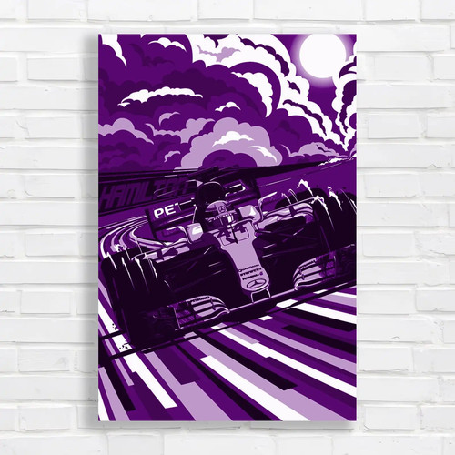 Formula race car dynamic - race,