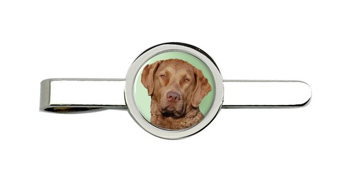 Chesapeake bay retriever tie - chesapeake,