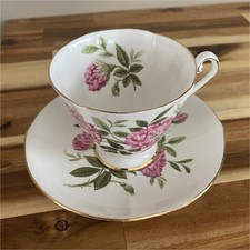 Roslyn Bone China Rosa Fiesta