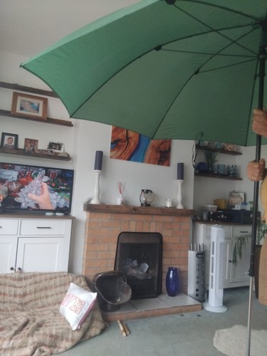 Green fishing brolly - green,