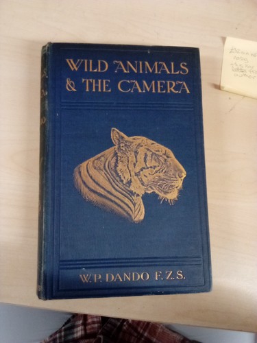 Wild animals camera - animals, on