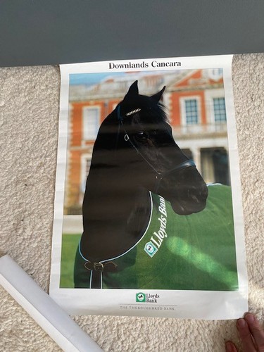 Official poster downlands - of,
