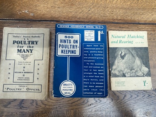 Antique and vintage poultry - and,