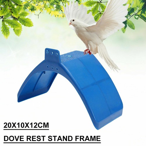 10pc pigeon dove bird - pigeon, rest