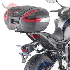 Rear Rack Mount / Luggage