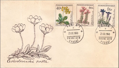 Mountain wild flowers - mountain,