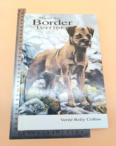 About the border terrier - about,