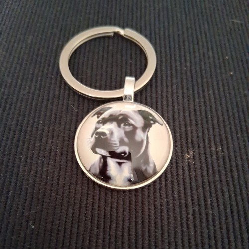 Staffy dog keyring - , keyring.