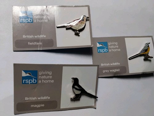Rspb pin badges magpie - , grey