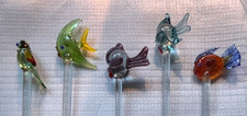 Glass Fish and Parrot Swizzle