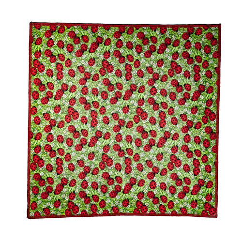 Ladybird beetle bug daisy - ladybird,