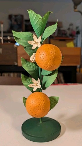 Anthropology orange fruit - anthropology,