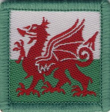 Welsh Flag Dragon Woven Badge