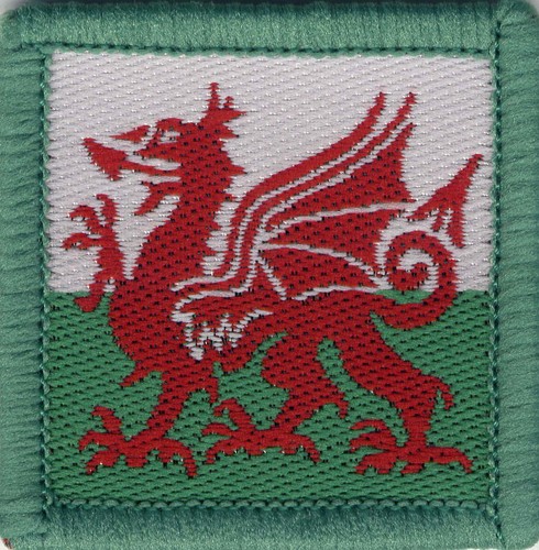 Welsh flag dragon - dragon, badge