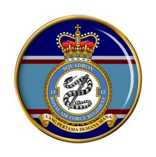 RAF Regiment 15 Squadron Pin Badge