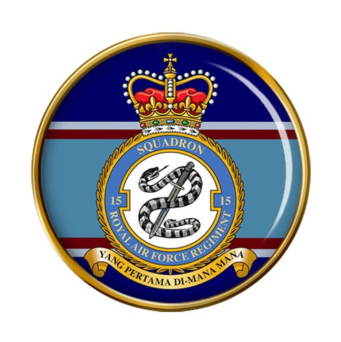 Raf regiment squadron pin - 15,