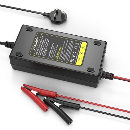 10a 12v lifepo4 lithium - 10a,