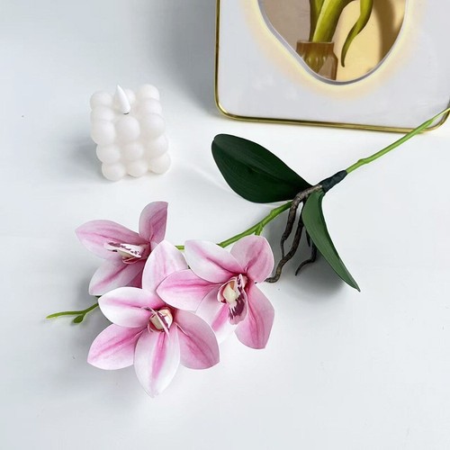 Realistic cymbidium orchid - cymbidium,
