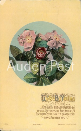 1909 beagles postcards wild - 1909, beagles'