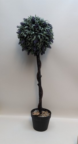 Garden decorative - garden,