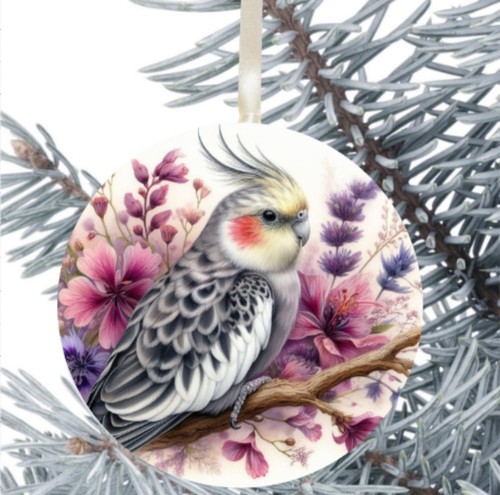 Cockatiel bird hanging - cockatiel,
