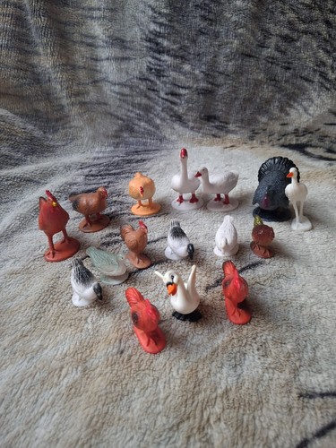 Ducks geese chicken and turkey - ducks,