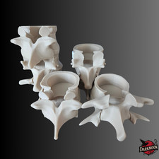 Spine Tea Light Holder Set