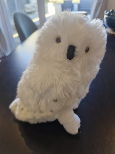 Harry potter owl wizarding - harry,