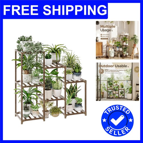 Elegant tier ladder plant - elegant,