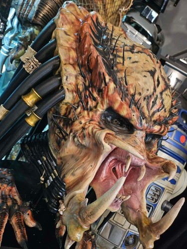Predator life size - size, made