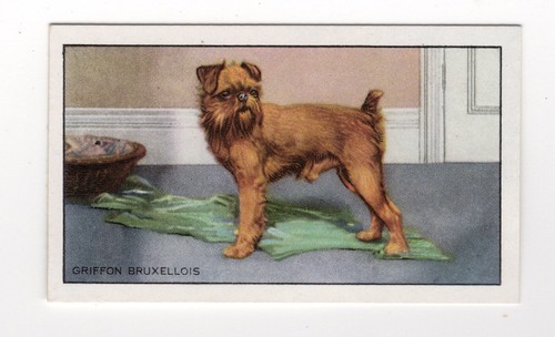 Dog cigarette card 1937 - , #18
