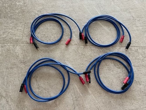 The chord company chameleon - the,