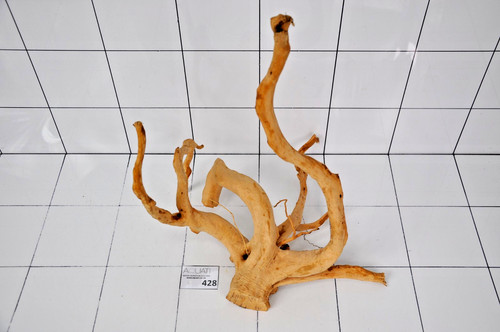 Premium natural aquarium - natural, red