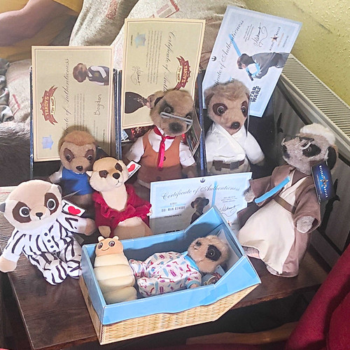 Compare the meerkat - compare, assortment
