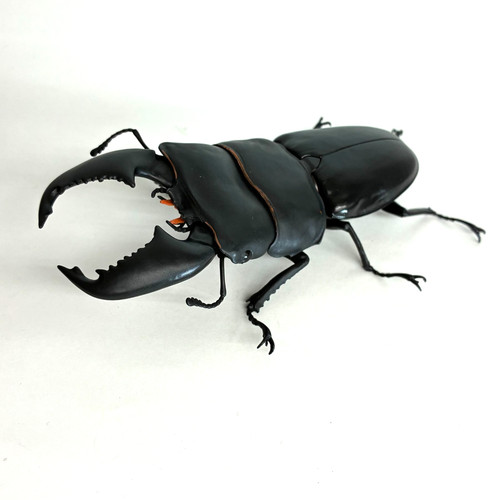 Used bandai gashapon - 【used】,
