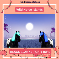 Wild Horse Islands - Appaloosa