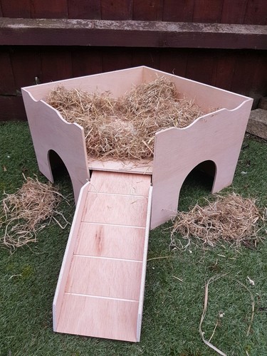 Guinea pig corner castle - guinea,