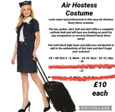 Ladies fancy dress costume - ladies,