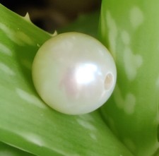 2mm Large Hole Big White Near