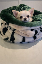 Small snuggle sack, covered