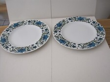 MIDWINTER SPANISH GARDEN