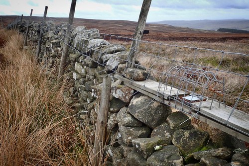 Photo 6x4 dry stone wall - photo,