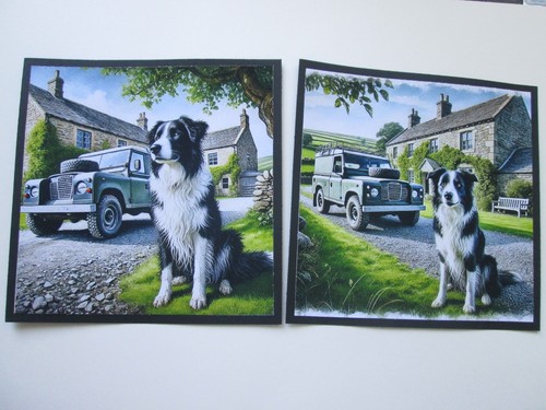 Set border collie land - x,