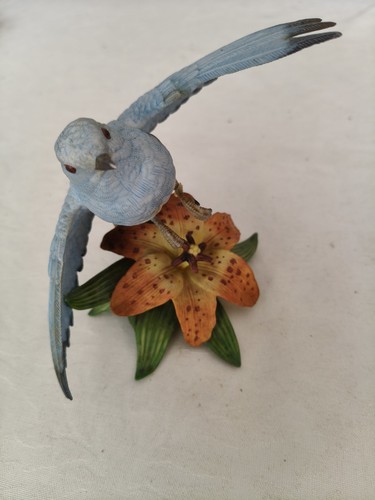 Lenox mountain bluebird - lenox,