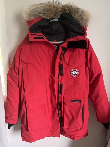 Canada goose arctic - canada, program
