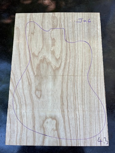 Swamp ash one - swamp, guitar