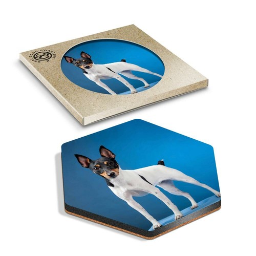 Hexagon coaster toy fox - x,