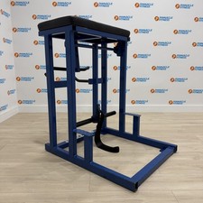 Pullum Reverse Hyperextension