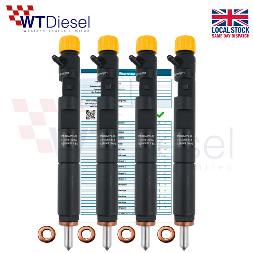 Delphi ejbr04001d - delphi,
